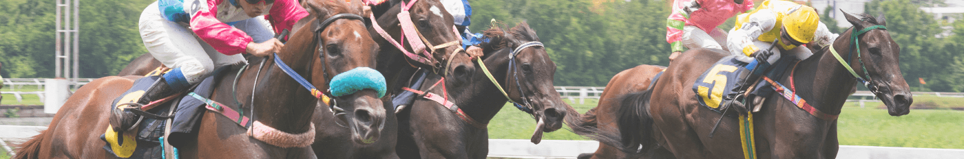 খেলাধূলা